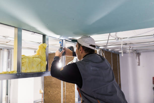 Best Cellulose Insulation in Bluffton, SC