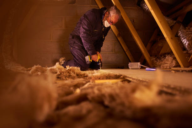Best Insulation Maintenance and Repair in Bluffton, SC