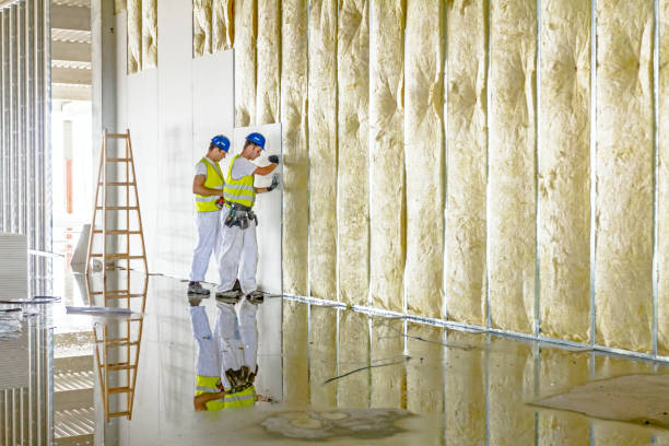 Best Geographic-Specific Insulation Services in Bluffton, SC
